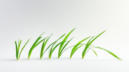 Fototapeta premium green blades of grass in various stages of growth