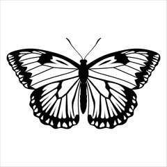 Black monochrome Butterfly Silhouette Vector illustration