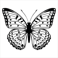 Black monochrome Butterfly Silhouette Vector illustration