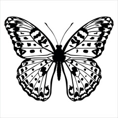 Black monochrome Butterfly Silhouette Vector illustration