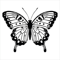 Black monochrome Butterfly Silhouette Vector illustration