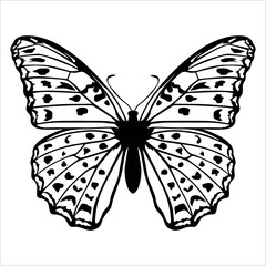 Black monochrome Butterfly Silhouette Vector illustration