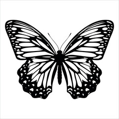 Black monochrome Butterfly Silhouette Vector illustration