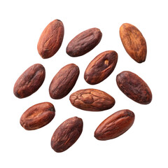 Obraz premium cocoa beans on transparent background
