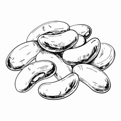 Pile of kidney beans in black and white drawing