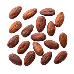 Obraz premium cocoa beans on transparent background