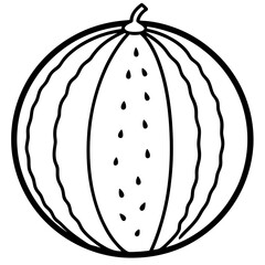 Elegant watermelon Line Illustration