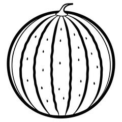 Elegant watermelon Line Illustration