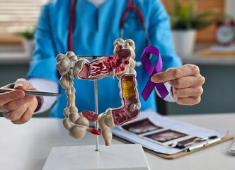 Doctor holding purple ribbon with human Colon anatomy model