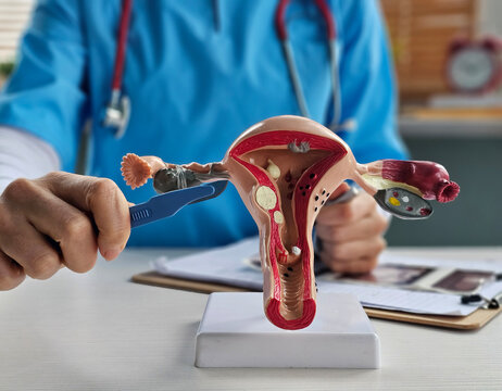 Gynecological surgery for women closeup