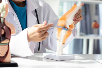 Asian female doctor uses knee joint model to show anatomy Diagnose conditions such as...
