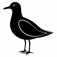 Seagull silhouette vector black animal on white background