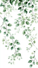 Obraz premium Green Leafy Vines and Branches on Pure White Background Design