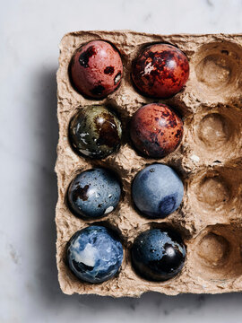 A carton holds nine quail eggs, each displaying striking patterns and colors. The arrangement emphasizes the diversity of their natural designs, all set against a light backdrop
