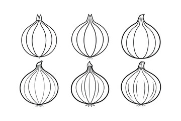 Onion (Allium cepa) design, labeled line art vector illustration