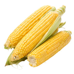 corn on transparent background
