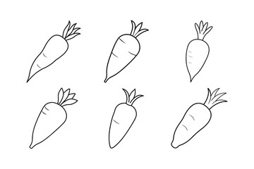 Parsnip (Pastinaca sativa) design, labeled line art vector illustration