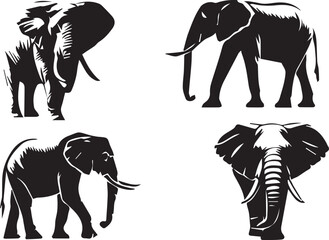 Elephant silhouette vector EPS SET