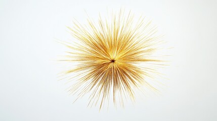 golden spiky sphere on white background