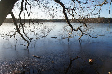 The winter lake