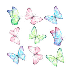 set of watercolor butterflies. Multicolored isolated elements