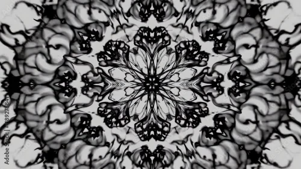 Poster an intricate black and white abstract design featuring symmetrical patterns and fluid shapes, perfec