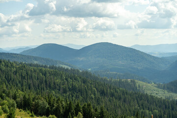 Mountain ranges in the Carpathians. Hills forest and meadows. Green valley. Pines trees top view