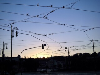Overhead Tram Wires at Dusk (Prague, Czechia)
