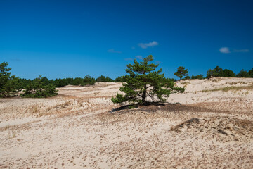 Słowiński Park Narodowy, Poland, Baltic sea