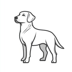 Fototapeta premium Alert Labrador, standing, white background, profile view, pet logo