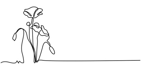 Poppy, Remembrance Day or Veterans Day Continuous Line Drawing with Editable Stroke and Copy Space, One line poppy flower drawing, continuous single line drawing of red wild flower, colored corn poppy