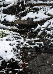 snowy creek