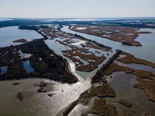 Aerial view of the Po Delta nature reserve with winding waterways, marshy islands, and wetlands under soft sunlight, showcasing the region's rich biodiversity and natural beauty.