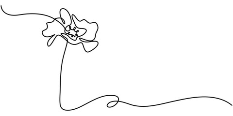 Poppy, Remembrance Day or Veterans Day Continuous Line Drawing with Editable Stroke and Copy Space, One line poppy flower drawing, continuous single line drawing of red wild flower, colored corn poppy