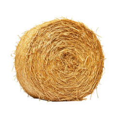 Round Hay Bale Closeup Photography A Detailed Image of a Golden Hay Bale Against a Black Background
