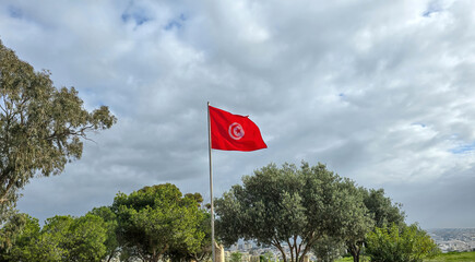 Tunisian flag waving among green trees under a cloudy sky..