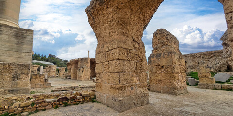 Archaeological site of Carthage with ruins and greenery..