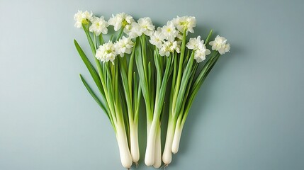 Fototapeta premium White Daffodils Bouquet: A charming overhead shot showcasing a bunch of elegant white daffodils with their vibrant green stalks, arranged neatly against a soft blue-green background. 