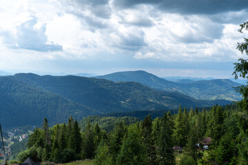 Green blue forest in the mountains Pine and deciduous trees Mixed forest in summer. Nature...