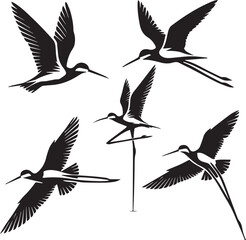 black nacked stilt flying poses, lack and white stilt illustration, stilt silhouette vector, shorebird in flight, black-necked stilt in motion