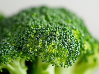 close up of fresh green broccoli