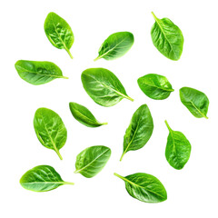 Vibrant Green Spinach Leaves Falling on Black Background A Stunning Culinary Photography