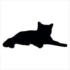 Animal Cat Silhouette vector illustration