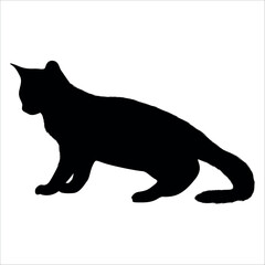 Animal Cat Silhouette vector illustration