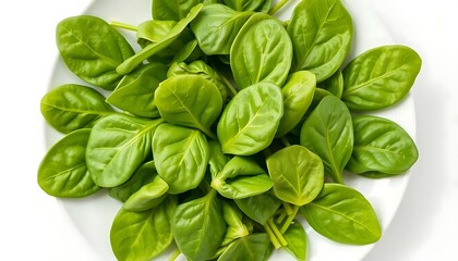 Obraz premium Fresh Spinach Leaves: A Vibrant, Green Still Life