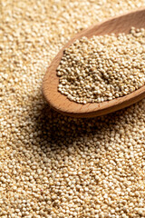 Quinoa seeds collected by a wooden spoon