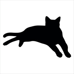 Animal Cat Silhouette vector illustration