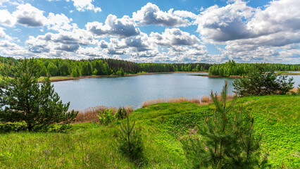 Forest lake on a spring sunny day.