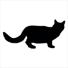 Animal Cat Silhouette vector illustration
