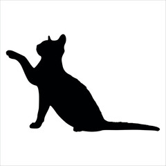 Animal Cat Silhouette vector illustration